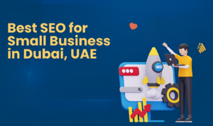 Fresh Media SEO services for small businesses in Dubai