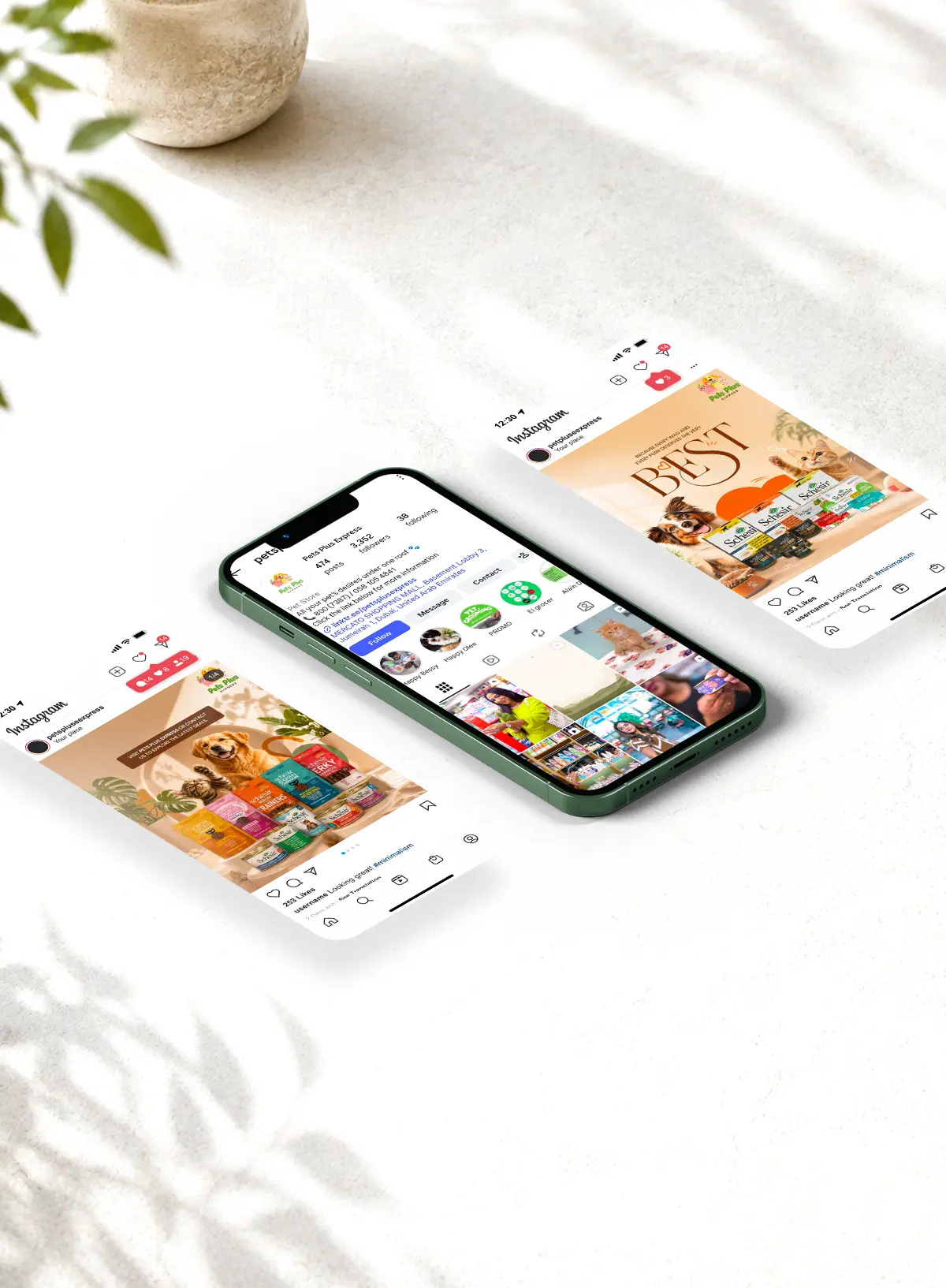 Pets Plus social media marketing and pet-focused content